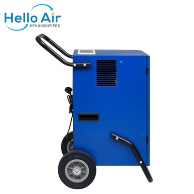 60L/gün R410a Tüm Ev Nem Alma Cihazı 220V 50HZ Su Pompalı Saplı